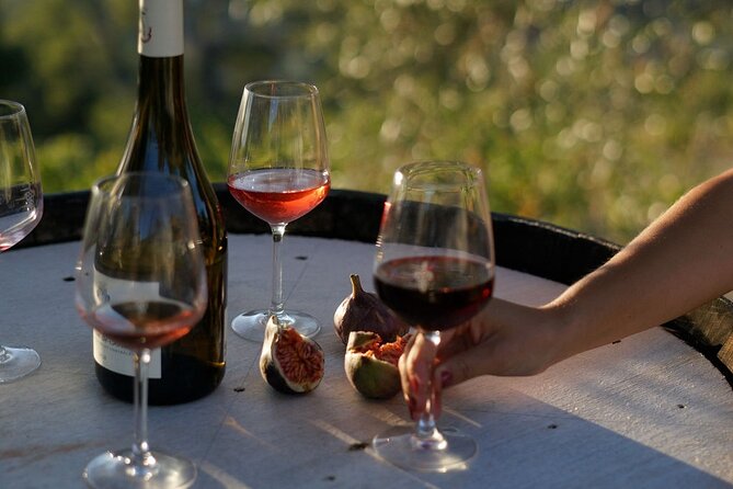 Vineyard Tour with Wine Tasting within Nice city borders - Inside the modern cellar