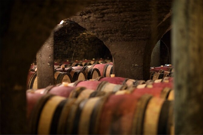 Visit of our 15th century cellars - The 15th-century cellars and their sense of place