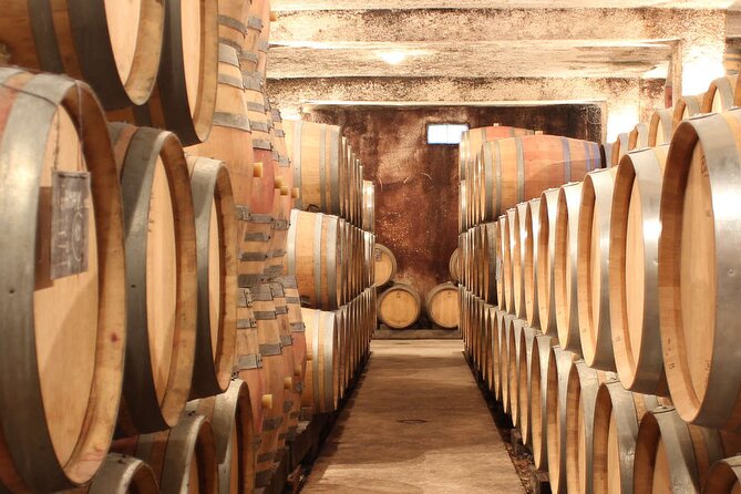 Visit-Tasting-Sale - Going below ground to see the cellar