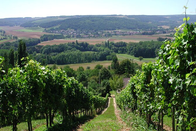 Visit-Tasting-Sale - What the wine quality means for your budget