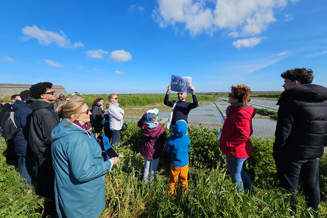 Visit to Saline - Guérande Salt Marshes - Why Guérande salt makes this short tour worthwhile