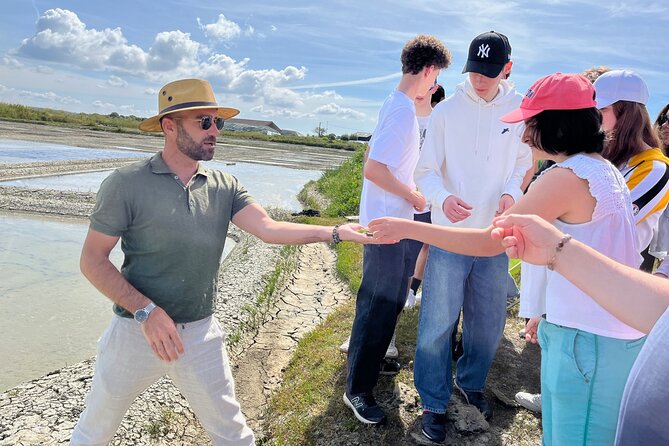 Visit to Saline - Guérande Salt Marshes - Price, timing, and practical value
