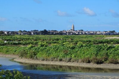 Visit to Saline – Guérande Salt Marshes