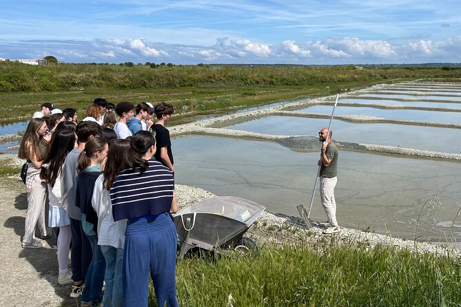 Visit to Saline - Guérande Salt Marshes - My verdict: book it for a clear taste of local life