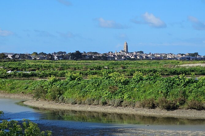 Visit to Saline - Guérande Salt Marshes - The 45-minute walk through the Marais Salants de Guérande