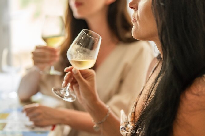 Wine Tasting Class: Tour de France in Nice City Centre - A Tour of France, One Glass at a Time
