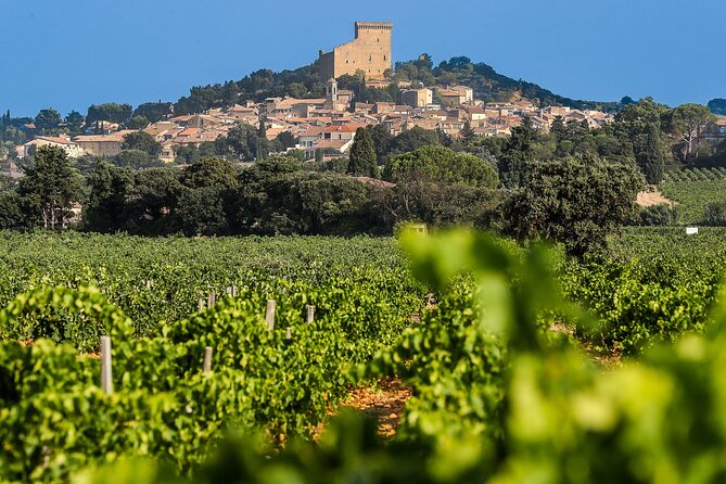 Wine Tasting Tour at Châteauneuf du Pape - Key points to know before you book