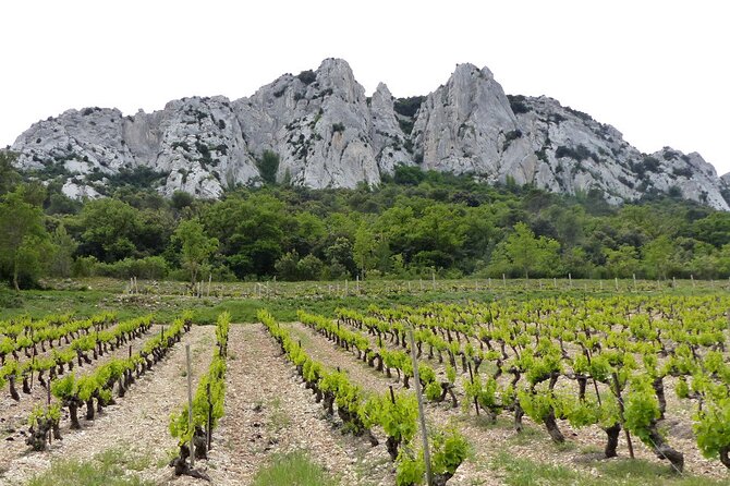 Wine Tasting Tour at Châteauneuf du Pape - The history of Avignon and the Rhône Valley