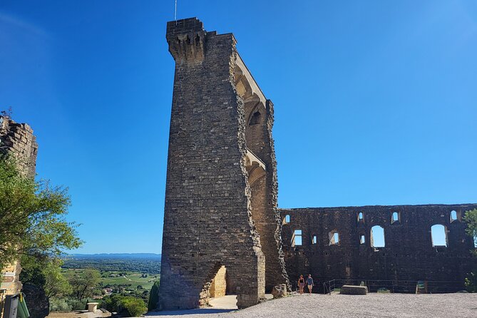 Wine Tasting Tour at Châteauneuf du Pape - What you receive for $113.84