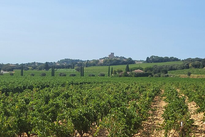 Wine Tasting Tour at Châteauneuf du Pape - Who will enjoy this tour most