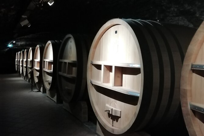 Wine Tasting Tour at Châteauneuf du Pape - Practical details for a smoother afternoon