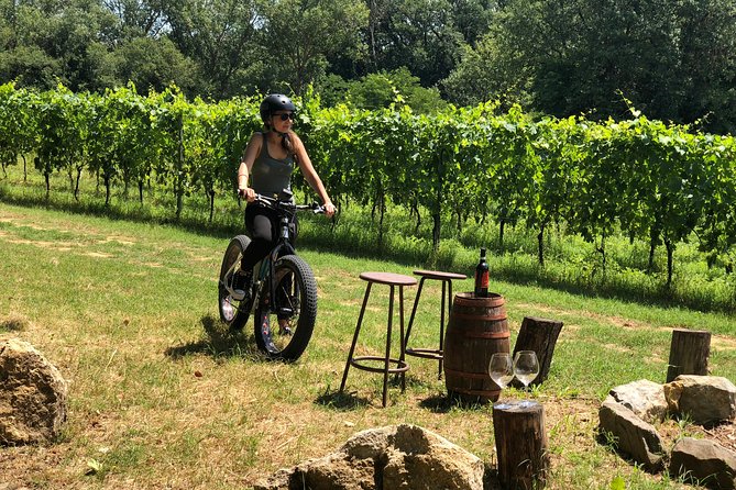 Wine Tour Ebike Experience - What the $192.36 price really covers