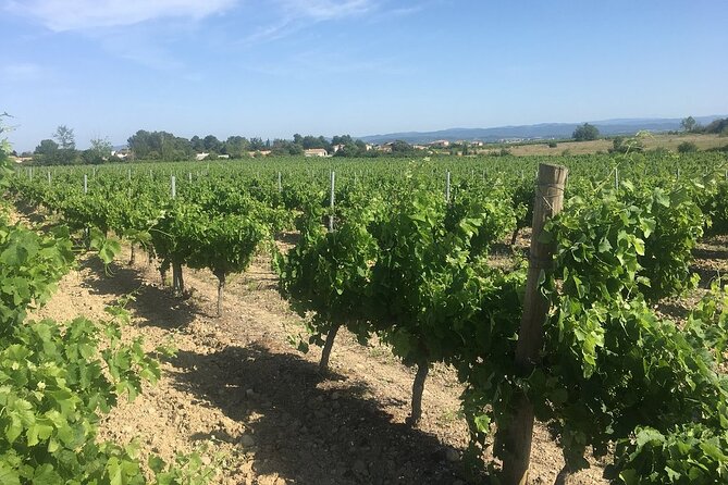Winery Tour & Wine Tasting - Deli Plate & 3 Wines - Meeting a winemaker instead of a scripted guide