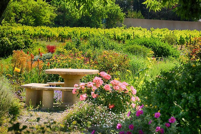 Winery Tour & Wine Tasting - Deli Plate & 3 Wines - Who will enjoy O’Vineyards most