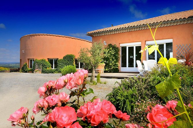 Winery Tour & Wine Tasting - Deli Plate & 3 Wines - What happens among the vines and cellar