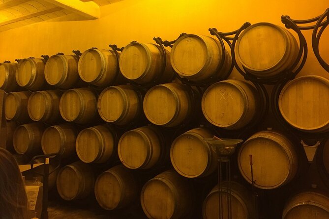 Winery Visit with Food and Wine in Carcassonne - Group size, age rules, and the feel of the evening